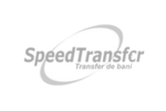 logosgrisesMNTpartner-speedtransfer