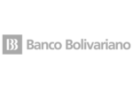 logosgrisesMNTpartner-bancobolivariano