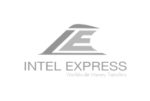 logosgrisesMNTpartner-intelexpress