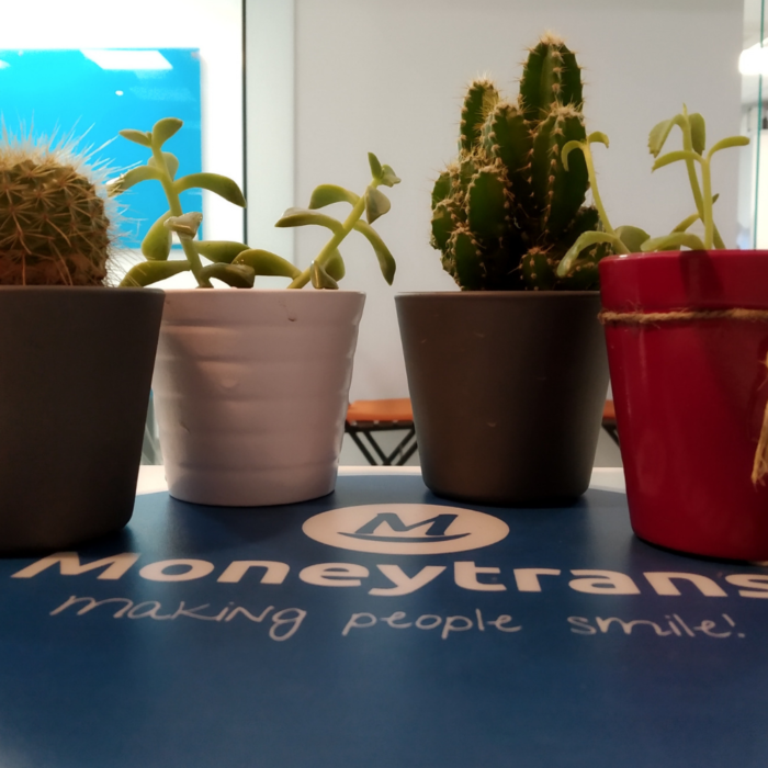 moneytrans-blog-medio-ambiente-plantas-oficina