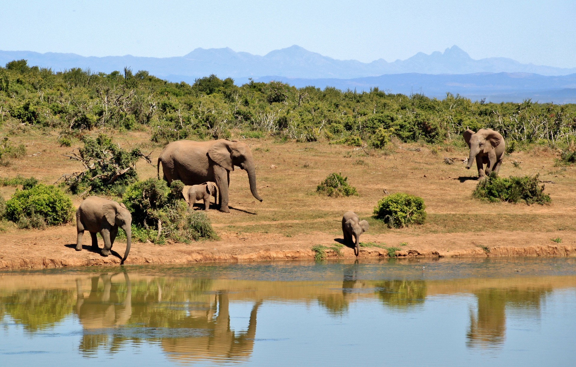 biodiversity-south-africa-blog-moneytrans