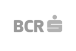 logosgrisesMNTpartner-bcrs