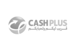 logosgrisesMNTpartner-cashplus